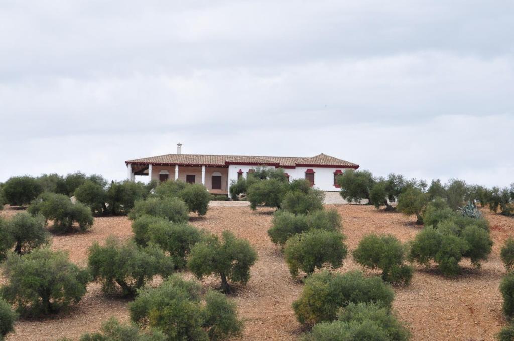 Casa Rural La Serrana La Carlota Bagian luar foto